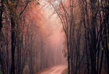 推荐股票app:配资网络配资炒股-华虹公司重组预案出炉！拟收购华力微97.5%股权 今日复牌